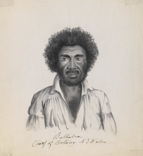 Bukabra, Chief of Botany Tribe - Courtesy of National Library of Australia